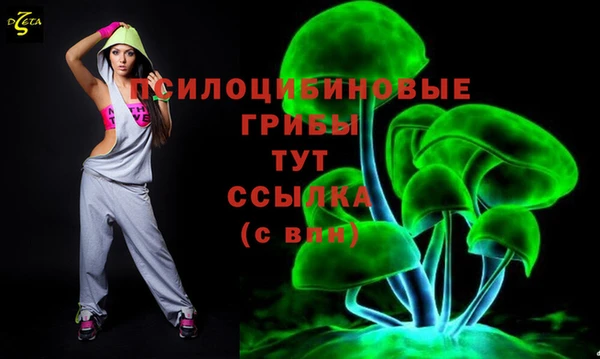 твердый Михайловка