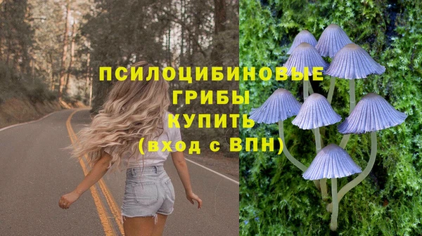 твердый Михайловка