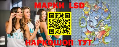 крисы Кулебаки