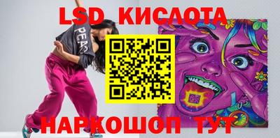 крисы Кулебаки