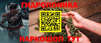 крисы Кулебаки