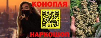 крисы Кулебаки