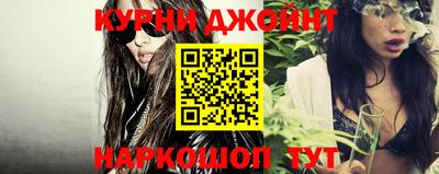 крисы Кулебаки