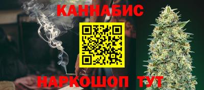 крисы Кулебаки