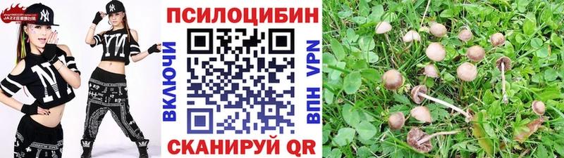 Псилоцибиновые грибы Cubensis Светлоград