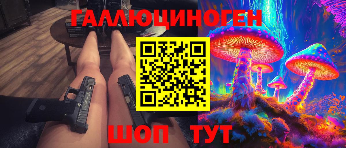 что такое   Светлоград  Галлюциногенные грибы GOLDEN TEACHER 