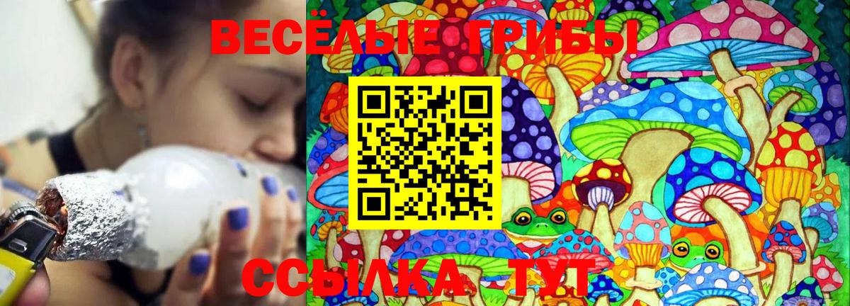 хочу   Псилоцибиновые грибы Psilocybine cubensis  Светлоград  Вход с VPN  Галлюциногенные грибы Magic Shrooms 